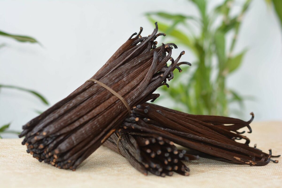 Ceylon Organic Vanilla Beans Grade-A 100% Best Quality Pure Great for Extraction