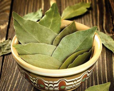 Bowl filled with fresh green bay leaves, showcasing their vibrant color and natural texture on a wooden surface.