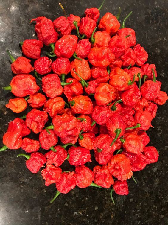 Dried Carolina Reaper Pepper Pods World Hottest Best Quality - Easyone