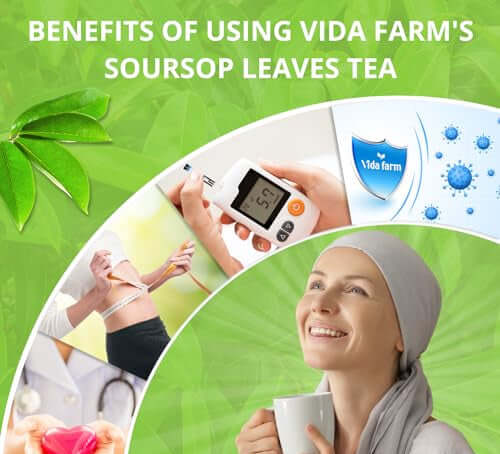 Graphic showcasing benefits of Vida Farm's soursop leaves tea, featuring health monitoring and wellness imagery.