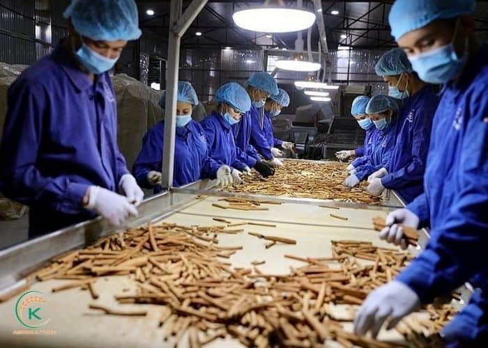 Premium Alba Ceylon Cinnamon Sticks – Organic Sri Lankan True Cinnamon Quills