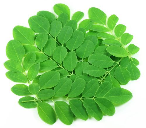 Natural Dried Moringa Leaves | Herbal Tea | Superfood