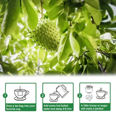 Soursop fruit on tree with tea preparation steps: drop bag, add water, sweeten as desired.