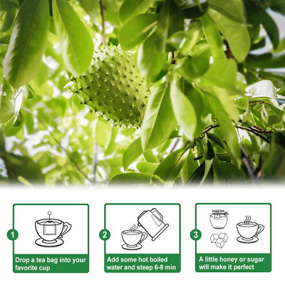 Soursop fruit on tree with tea preparation steps: drop bag, add water, sweeten as desired.